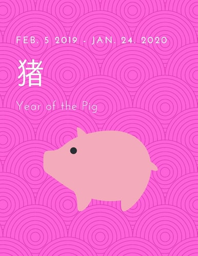Year of the Pig