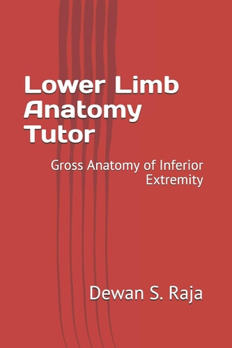 Lower Limb Anatomy Tutor Gross Anatomy of Inferior Extremity