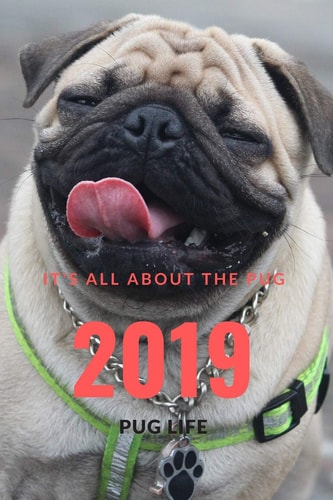 It;s All about the Pug Pug Life