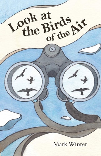 Look at the Birds of the Air Lessons from Birds in the Bible