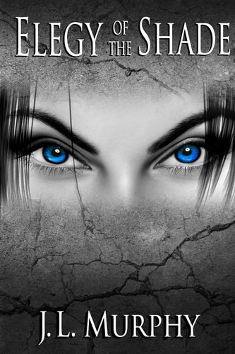 Elegy of The Shade