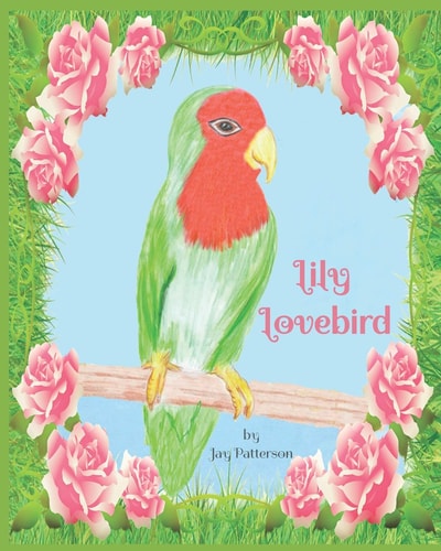 Lily Lovebird by Jay Patterson Charming Picture Book Story Which Follows Lily, a Lonely Little Lovebird Who Finds a Friend and Then Discovers the Happiness She's Been Yearning For
