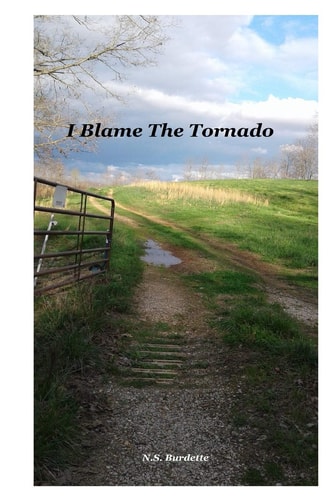 I Blame The Tornado