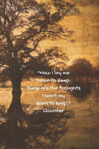 Now I Lay Me Down to Sleep, These Are the Thoughts I Want My Brain to Keep.