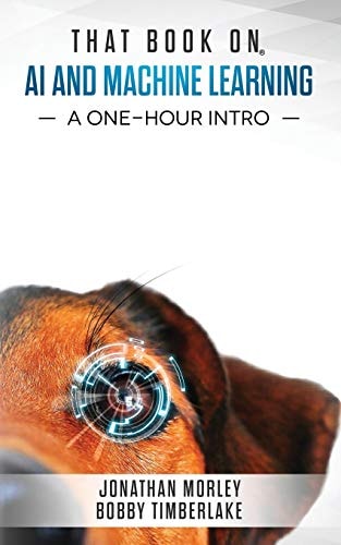 That Book on AI and Machine Learning A One-Hour Intro