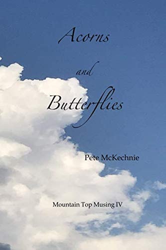 Mountain Top Musing IV Acorns and Butterflies