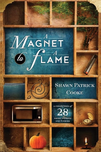 A Magnet to a Flame A Collection of 28 Short Stories and 3 Poems