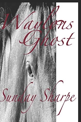 Waylons Ghost