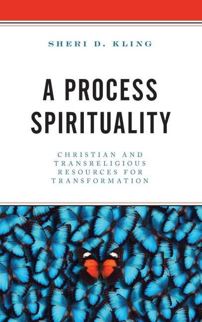 Process Spirituality: Christian and Transreligious Resources for Transformation