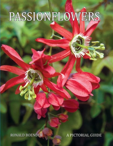 Passionflowers A Pictorial Guide