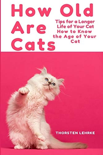 How Old Are Cats? Tips for a Longer Life of Your Cat How to Know the Age of Your Cat