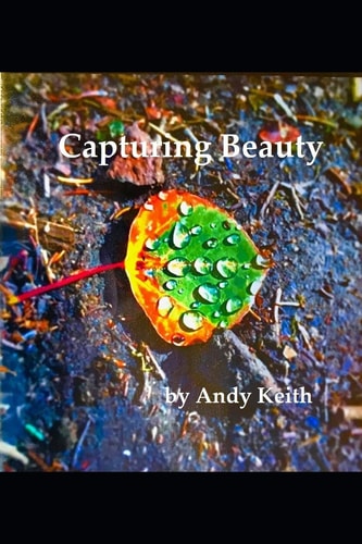 Capturing Beauty Everyday Beauty in Colorado