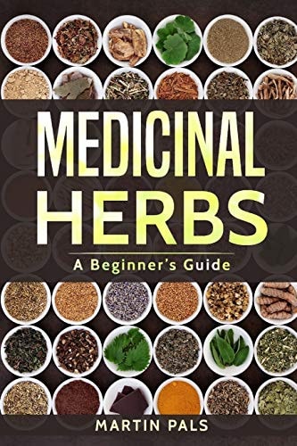 Medicinal Herbs A Beginner's Guide