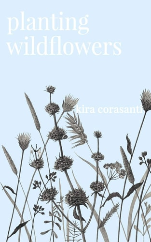 Planting Wildflowers