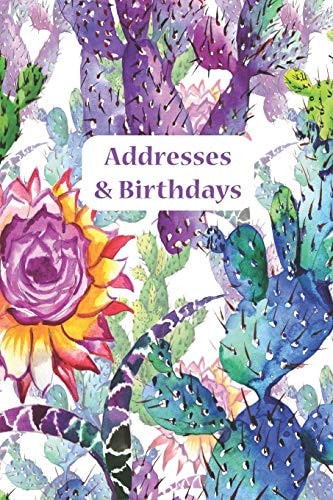 Addresses & Birthdays Watercolor Pastel Cacti