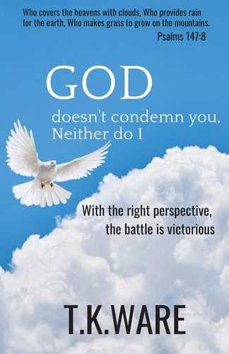 GOD Doesn't Condemn You, Neither Do I