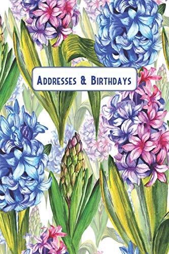 Addresses & Birthdays Watercolor Hyacinths