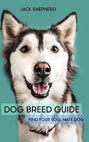 Dog Breed Guide Find Your Soul Mate Dog