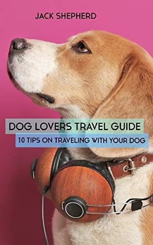 Dog Lovers Travel Guide 10 Tips On Traveling With Your Dog