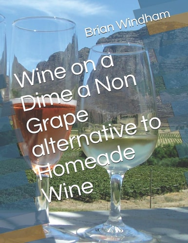 Homeade Wine from Fruit Juice
