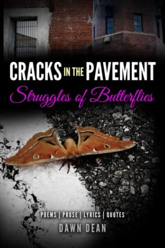 Cracks in the Pavement Struggles of Butterflies