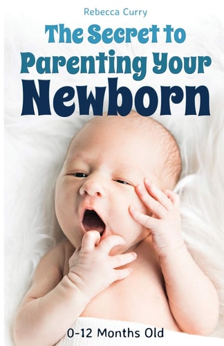 The Secret To Parenting Your Newborn 0-12 Months Old