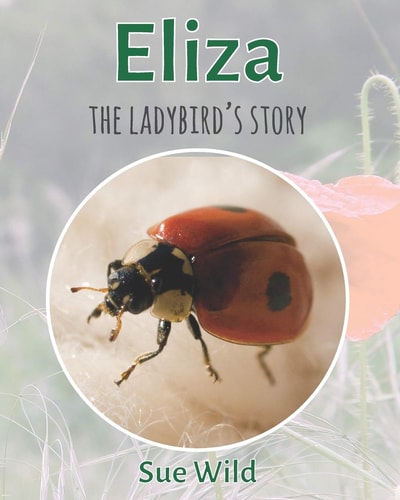 Eliza The Ladybird's Story