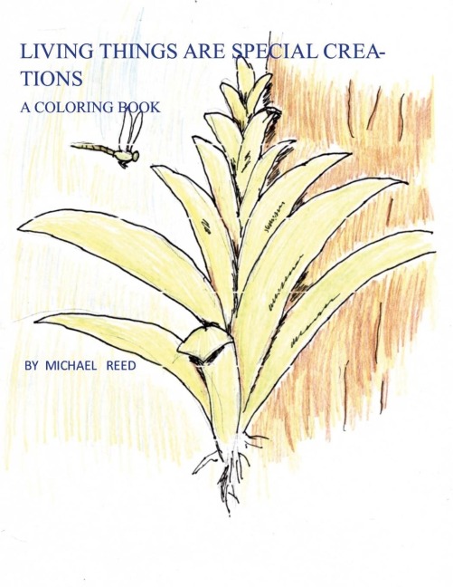 Living Things are Special Creations: A Coloring Book