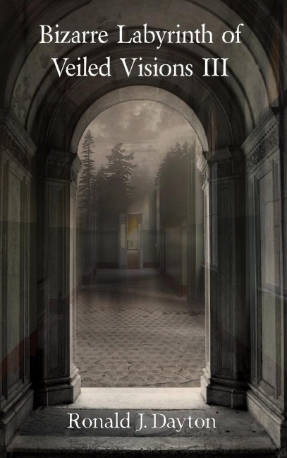 Bizarre Labyrinth of Veiled Visions III
