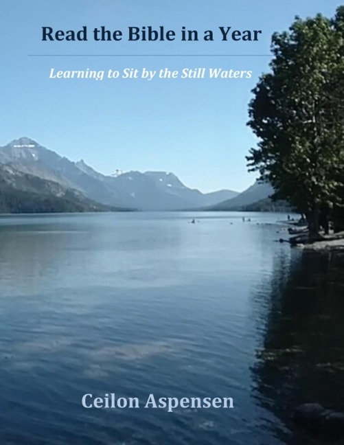 Read the Bible In a Year Workbook: Learning to sit by the still waters
