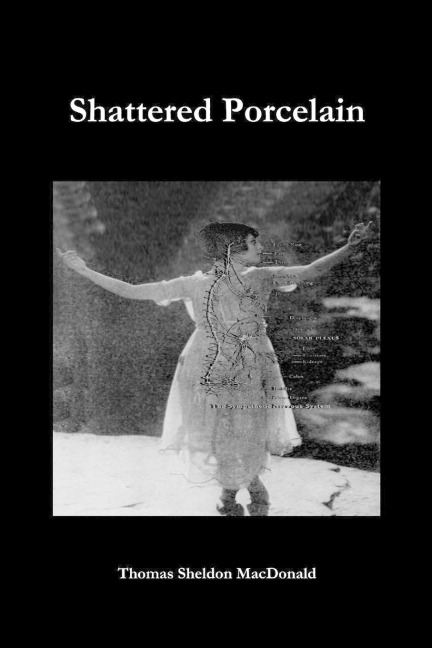 Shattered Porcelain