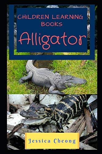 Children Learning Books - Alligator