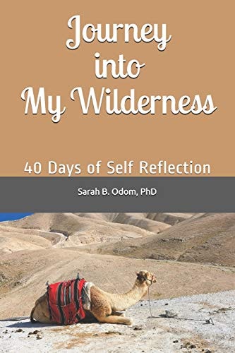 Journey Into My Wilderness 40 Days of Self Reflection