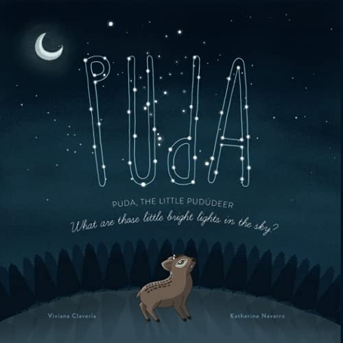 Puda, the Little Pudúdeer What Are Those Little Bright Lights in the Sky?