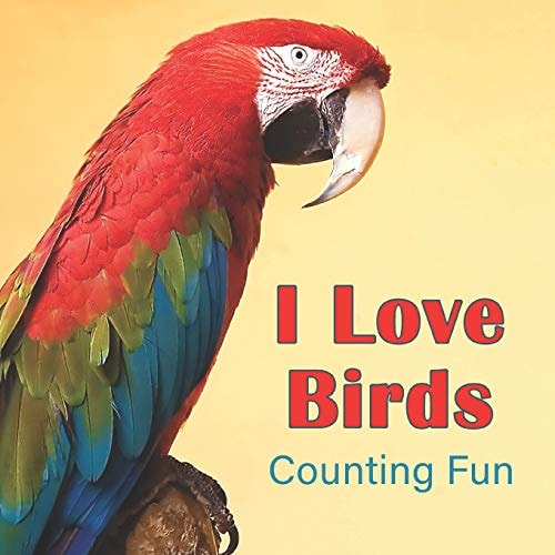 I Love Birds Counting Fun