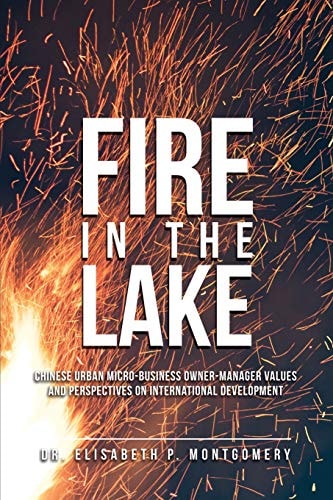 Fire in the Lake Chinese Urban Micro-Business Owner-Manager Values and Perspectives on International Development