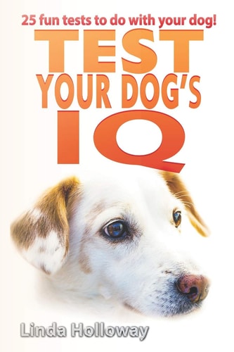 Test Your Dog's IQ With 25 Fun Tests to Do with Your Dog!