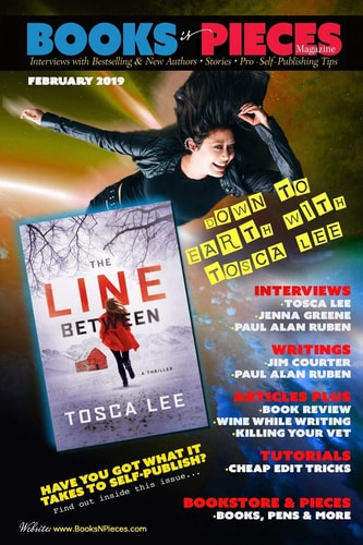 Books 'N Pieces Magazine - February 2019