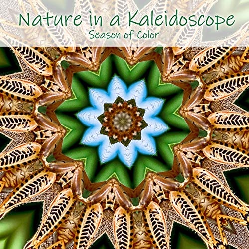 Nature in a Kaleidoscope Season of Color