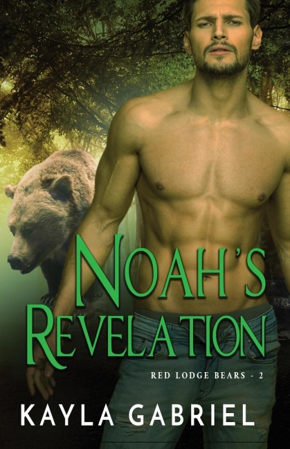 Noahs Revelation: Large Print