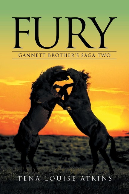 Fury: Gannett Brothers Saga Two