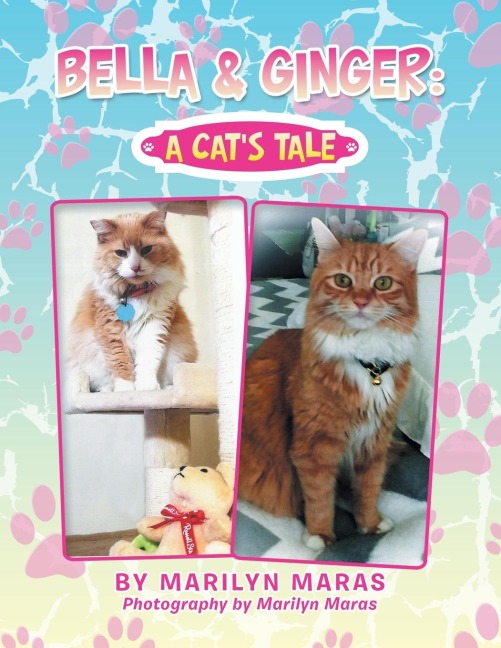 Bella & Ginger: a Cats Tale