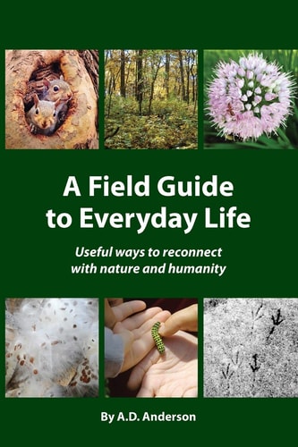 A Field Guide to Everyday Life Useful Ways to Reconnect with Nature & Humanity