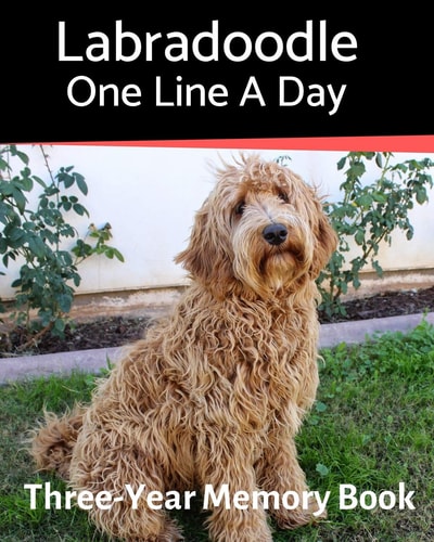 Labradoodle - One Line a Day A Three-Year Memory Book to Track Your Dog's Growth