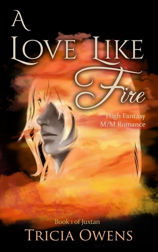 A Love Like Fire High Fantasy M/M Romance