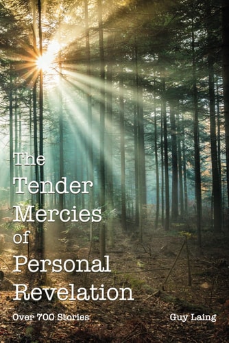 The Tender Mercies of Personal Revelation