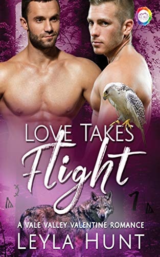 Love Takes Flight A Valentine Romance
