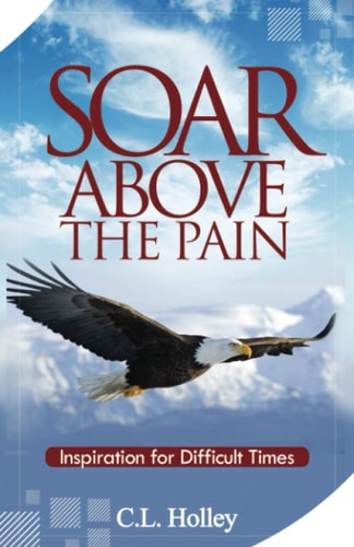 Soar Above the Pain Inspiration for Difficult Times