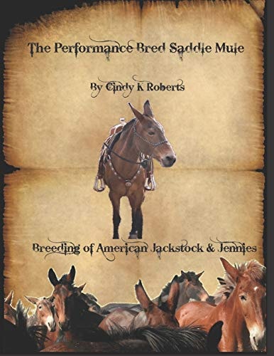 The Performance Bred Saddle Mule Breeding of American Jackstock & Jennies