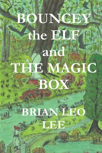 Bouncey the Elf and the Magic Box